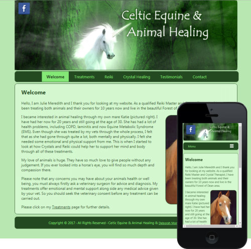 Celtic Equine & Animal Healing
